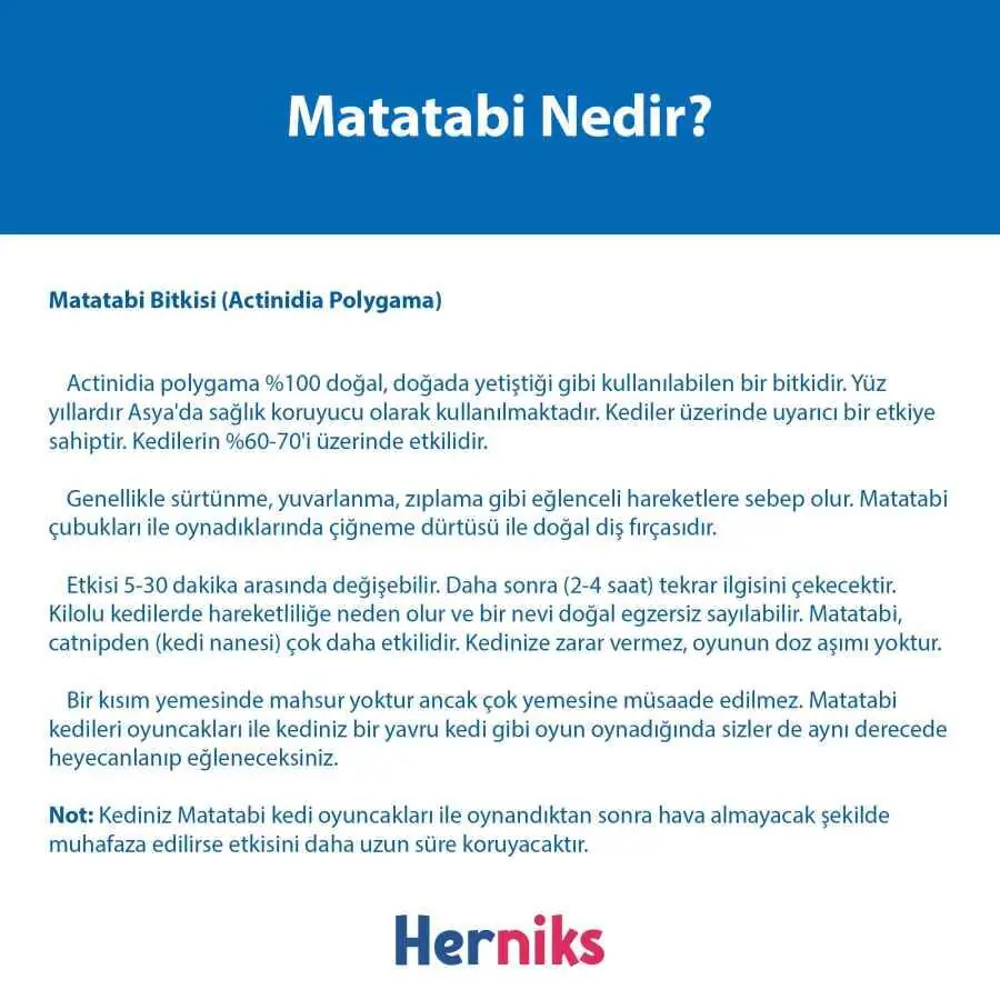 Herniks Matatabili Sesli Çıngıraklı Kedi Oyuncağı MR. Matatabi - 4