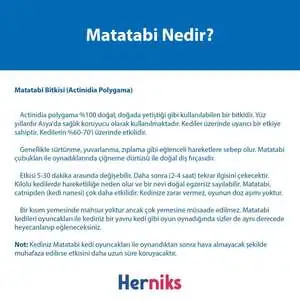 Herniks Matatabili Sesli Çıngıraklı Kedi Oyuncağı MRS. Matatabi - 4