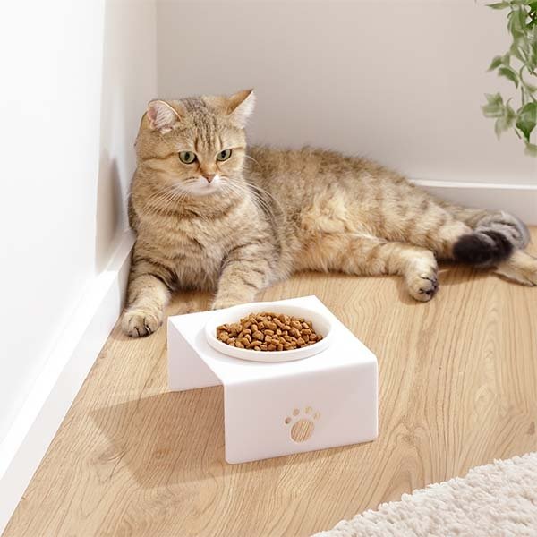 Herniks Pati Desenli Şeffaf Pleksi Ve Seramik Tekli Mama Kabı 17x15 Cm - Beyaz - 2