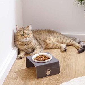 Herniks Pati Desenli Şeffaf Pleksi Ve Seramik Tekli Mama Kabı 17x15 Cm - Gri - 3