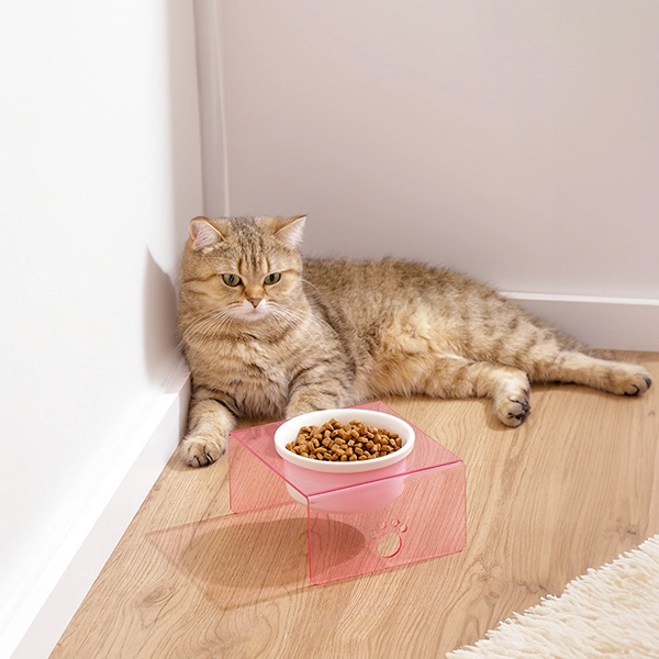 Herniks Pati Desenli Şeffaf Pleksi Ve Seramik Tekli Mama Kabı 17x15 Cm - Pembe - 2