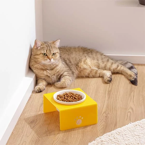 Herniks Pati Desenli Şeffaf Pleksi Ve Seramik Tekli Mama Kabı 17x15 Cm - Sarı - 2