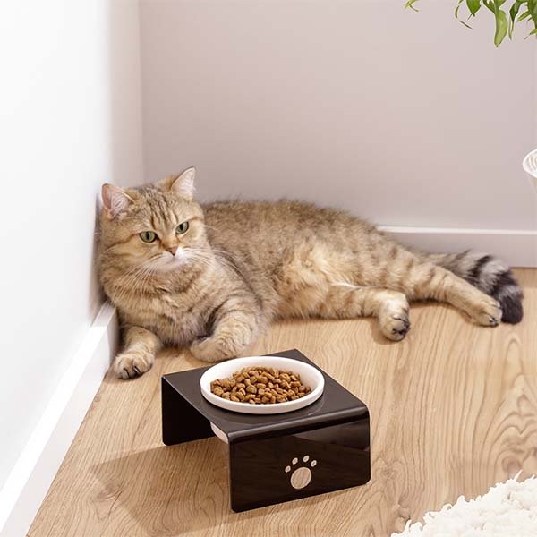 Herniks Pati Desenli Şeffaf Pleksi Ve Seramik Tekli Mama Kabı 17x15 Cm - Siyah - 2