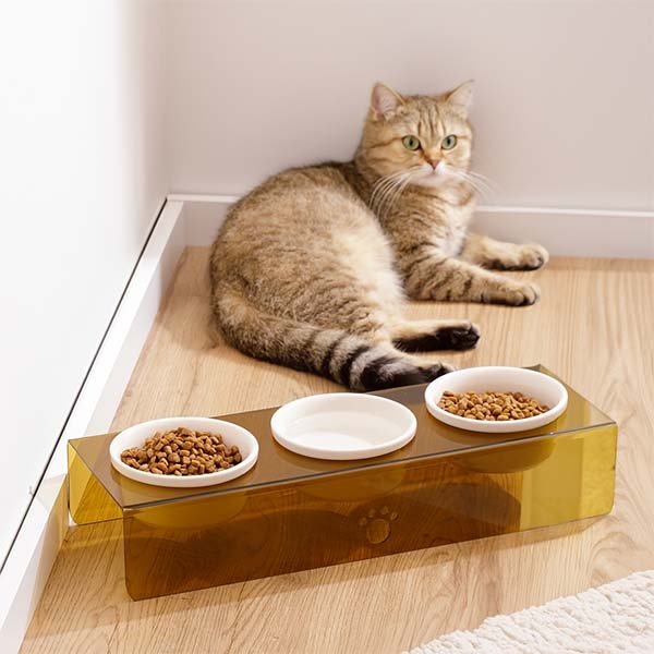 Herniks Pati Desenli Şeffaf Pleksi Ve Seramik Üçlü Mama Kabı 44x15 Cm - Kahverengi - 2