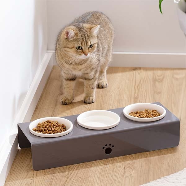 Herniks Pati Desenli Şeffaf Pleksi Ve Seramik Üçlü Mama Kabı 44x15 Cm - Gri - 2