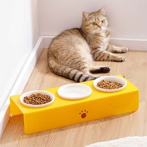 Herniks Pati Desenli Şeffaf Pleksi Ve Seramik Üçlü Mama Kabı 44x15 Cm - Sarı - 2