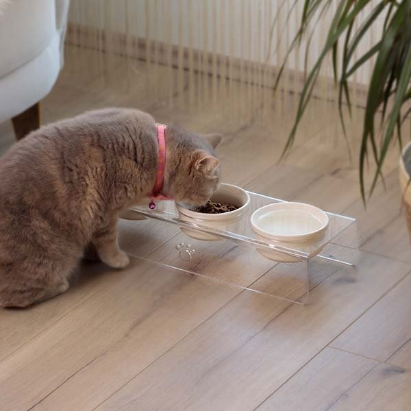 Herniks Pati Desenli Şeffaf Pleksi Ve Seramik Üçlü Mama Kabı 44x15 Cm - Şeffaf - 2