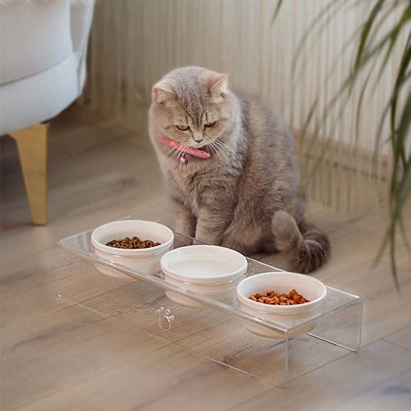 Herniks Pati Desenli Şeffaf Pleksi Ve Seramik Üçlü Mama Kabı 44x15 Cm - Şeffaf - 1