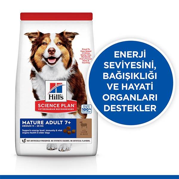 Hill's Science Plan Kuzulu Orta Irk Yaşlı Köpek Maması 14kg - 2