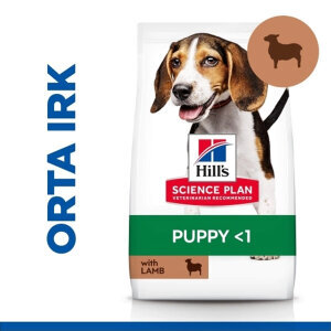 Hill's Science Plan Kuzulu Orta Irk Yavru Köpek Maması 12kg + 2kg HEDİYE!