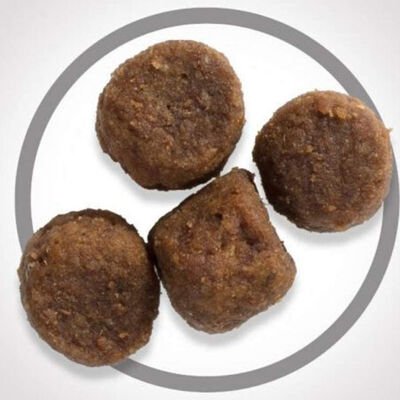 Hill's Science Plan Kuzulu Orta Irk Yavru Köpek Maması 12kg + 2kg HEDİYE! - 5