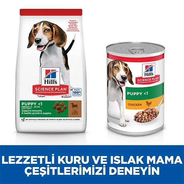 Hill's Science Plan Kuzulu Orta Irk Yavru Köpek Maması 2,5 kg - 4