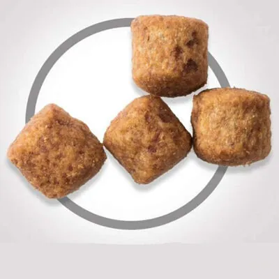 Hill's Science Plan Light Büyük Irk Tavuklu Yetişkin Köpek Maması 14kg - 3