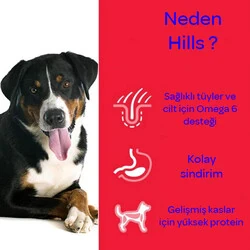 Hill's Science Plan Tahılsız Tavuklu Yaşlı Köpek Maması 12 kg - 6