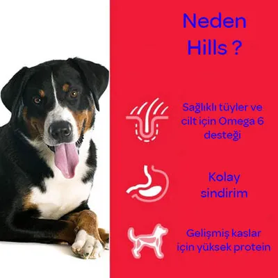 Hill's Science Plan Tahılsız Tavuklu Yaşlı Köpek Maması 12 kg - 6