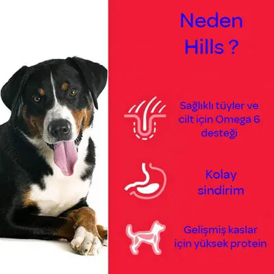 Hill's Science Plan Tahılsız Tavuklu Yaşlı Köpek Maması 2,5 kg - 6