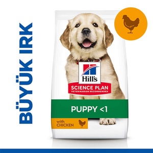 Hill's Science Plan Tavuklu Büyük Irk Yavru Köpek Maması 14,5kg