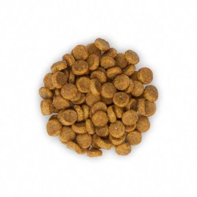 Hill's Science Plan Sensitive Mide ve Deri Hassasiyeti için Tavuklu Yetişkin Kedi Maması 1.5 kg - 3