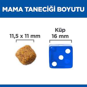 Hill's Science Plan Kuzu Etli Orta Irk Yetişkin Köpek Maması 12 kg + 2 kg HEDİYE! - 6
