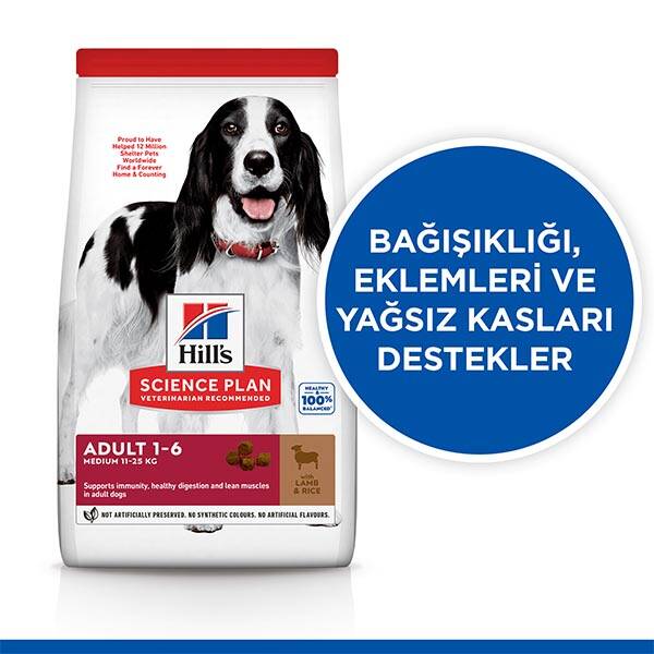 Hill's Science Plan Kuzu Etli Orta Irk Yetişkin Köpek Maması 12 kg + 2 kg HEDİYE! - 3