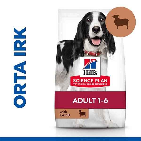 Hill's Science Plan Kuzu Etli Orta Irk Yetişkin Köpek Maması 12 kg + 2 kg HEDİYE! - 2