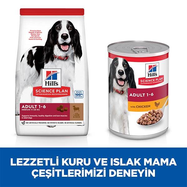 Hill's Science Plan Kuzu Etli Orta Irk Yetişkin Köpek Maması 12 kg + 2 kg HEDİYE! - 8