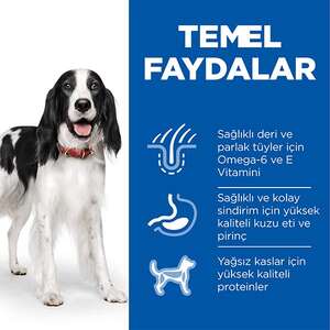 Hill's Science Plan Kuzu Etli Orta Irk Yetişkin Köpek Maması 12 kg + 2 kg HEDİYE! - 4