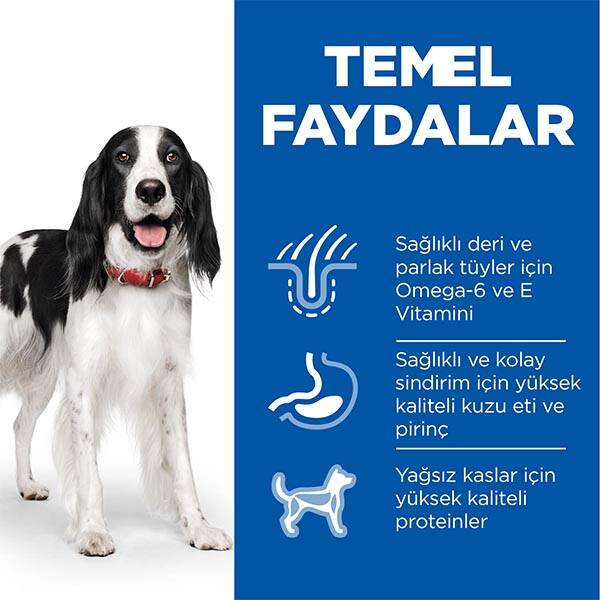 Hill's Science Plan Kuzu Etli Orta Irk Yetişkin Köpek Maması 12 kg + 2 kg HEDİYE! - 4