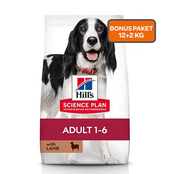 Hill's Science Plan Kuzu Etli Orta Irk Yetişkin Köpek Maması 12 kg + 2 kg HEDİYE! - 1