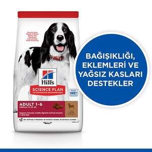 Hill's Science Plan Kuzulu Orta Irk Yetişkin Köpek Maması 12kg + 2kg HEDİYE! - 3