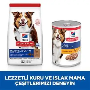 Hill's Science Plan Kuzulu Orta Irk Yaşlı Köpek Maması 2,5kg - 7