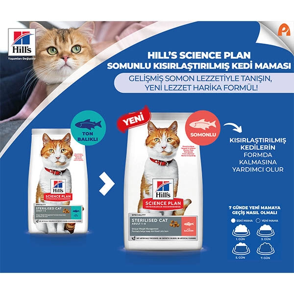 Hill's Science Plan Somonlu Kısırlaştırılmış Yetişkin Kedi Maması 13 Kg + 2kg HEDİYE! - 5