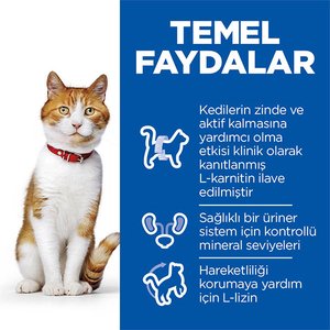 Hill's Science Plan Somonlu Kısırlaştırılmış Yetişkin Kedi Maması 8kg + 2kg HEDİYE! - 4
