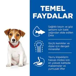 Hill's Science Plan Tavuklu Sindirim Destekleyici Küçük Yavru Köpek Maması 1.5 kg - 3