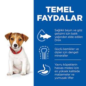 Hill's Science Plan Tavuklu Sindirim Destekleyici Küçük Yavru Köpek Maması 1.5 kg - 3