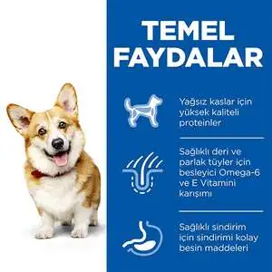 Hill's Science Plan Tavuklu Sindirim Destekleyici Küçük Yetişkin Köpek Maması 6 Kg - 4