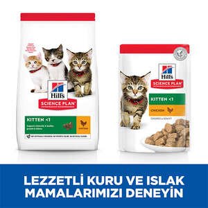 Hill's Science Plan Tavuklu Yavru Kedi Maması 3 Kg - 7