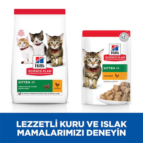 Hill's Science Plan Tavuklu Yavru Kedi Maması 3 Kg - 7