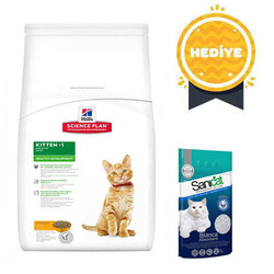 Hills Tavuklu Yavru Kedi Maması 5 KG