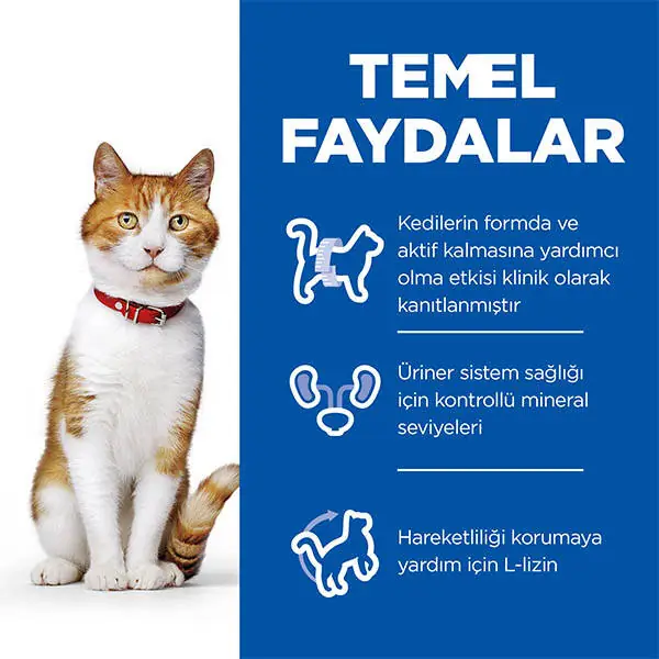 Hill's Science Plan Ton Balıklı Kısırlaştırılmış Yetişkin Kedi Maması 8kg + 2kg HEDİYE! - 4
