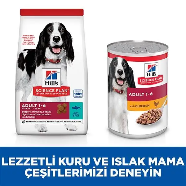 Hill's Science Plan Ton Balıklı Orta Irk Yetişkin Köpek Maması 10kg + 2kg HEDİYE! - 8