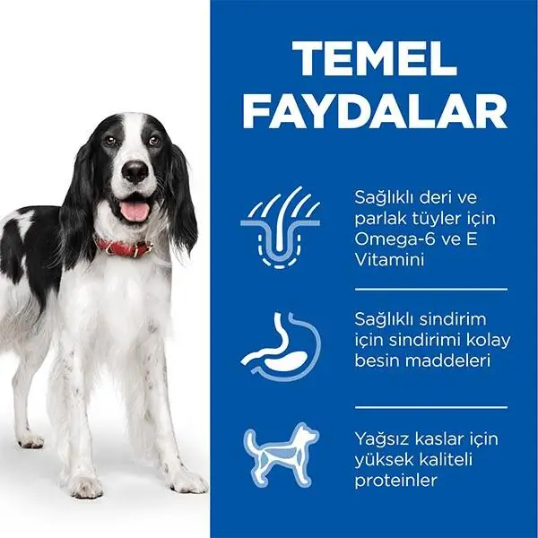 Hill's Science Plan Ton Balıklı Orta Irk Yetişkin Köpek Maması 10kg + 2kg HEDİYE! - 4