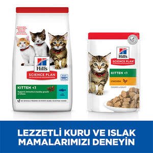 Hill's Science Plan Ton Balıklı Yavru Kedi Maması 1kg + 500gr HEDİYE! - 8