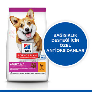 Hill's Science Plan Tavuklu Küçük Irk Yetişkin Köpek Maması 3 kg - 2