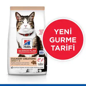 Hill's Science Plan Gurme Lezzet Somonlu ve Havuçlu Yetişkin Kedi Maması 10kg - 2