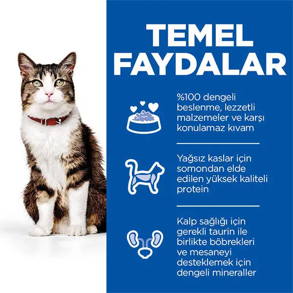 Hill's Science Plan Gurme Lezzet Somonlu ve Havuçlu Yetişkin Kedi Maması 1.5 kg - 5