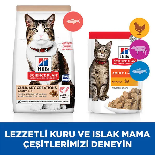 Hill's Science Plan Gurme Lezzet Somonlu ve Havuçlu Yetişkin Kedi Maması 1.5 kg - 7