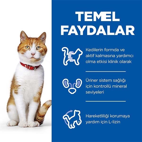 Hill's Science Plan Tavuklu Kısırlaştırılmış Yetişkin Kedi Maması 13 Kg + 2kg HEDİYE! - 3