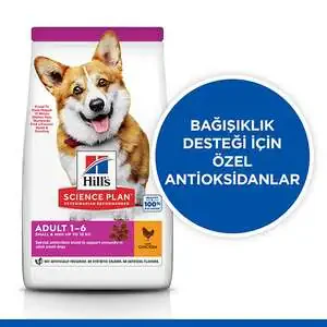 Hill's Science Plan Tavuklu Küçük Irk Yetişkin Köpek Maması 6kg - 2