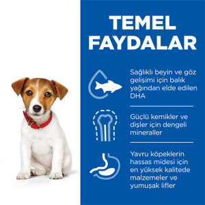 Hill's Science Plan Küçük Irk Tavuklu Yavru Köpek Maması 1.5 kg - 3